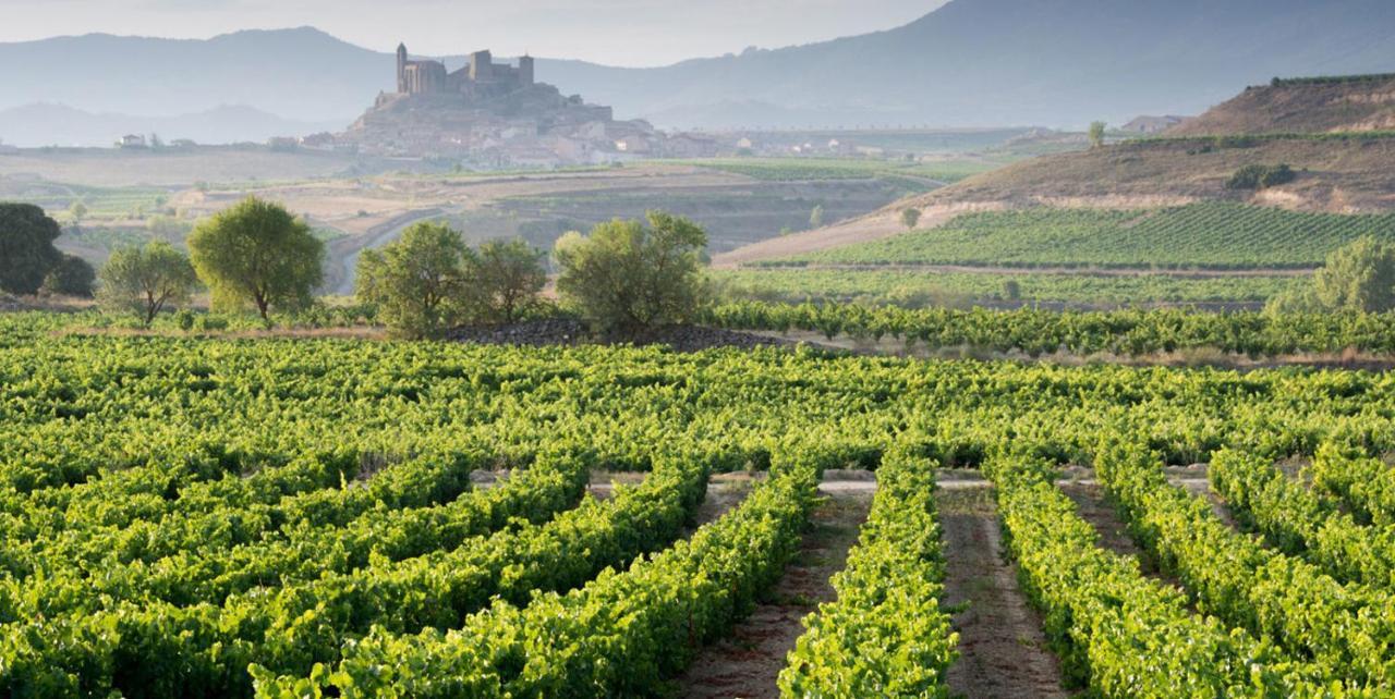 Apartamento Haro Wine Experience Εξωτερικό φωτογραφία